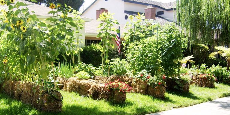 Build a Garden Out of Straw - FineGardening