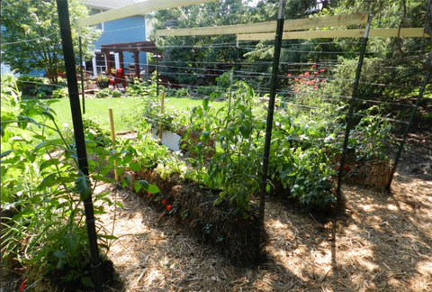 Here S Why You Should Really Be Adding Straw Bales To Your Garden Here S Why You Should Really Be Adding Straw Bales To Your Garden