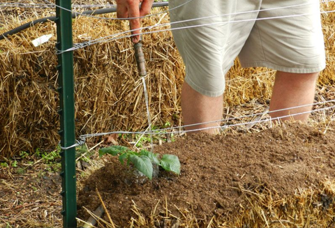 Here's Why You Should Really Be Adding Straw Bales to Your Garden