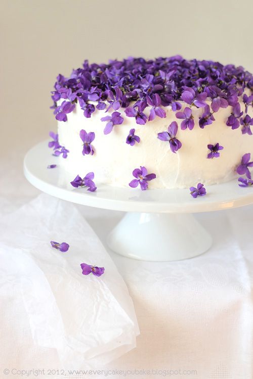 15 Beautiful Cake Decorating Ideas How To Decorate A Pretty Cake