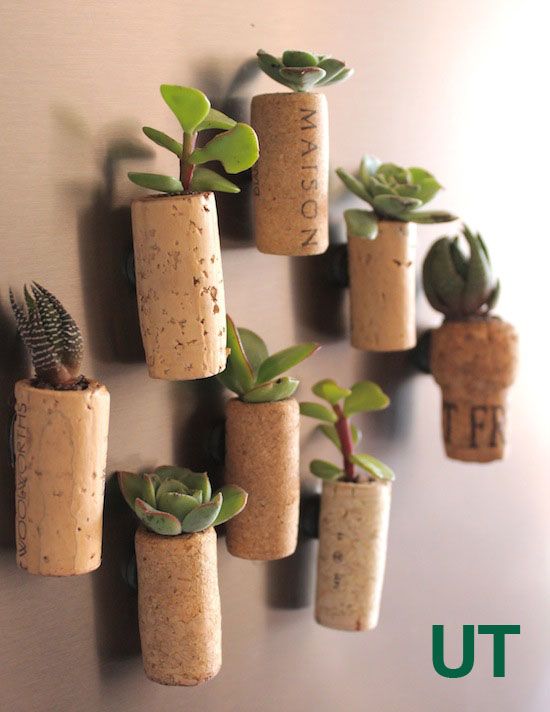 15 Creative Succulent Arrangements Diy Ideas To Display Succulents