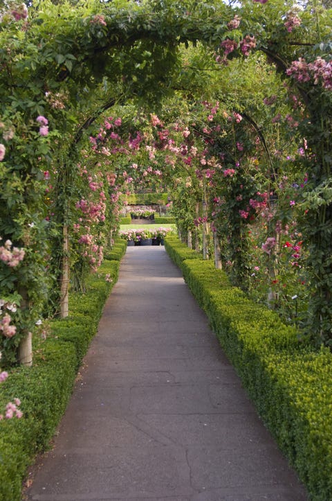 garden plan in annual and perennial flower bed with white chair in our garden in the northwest us