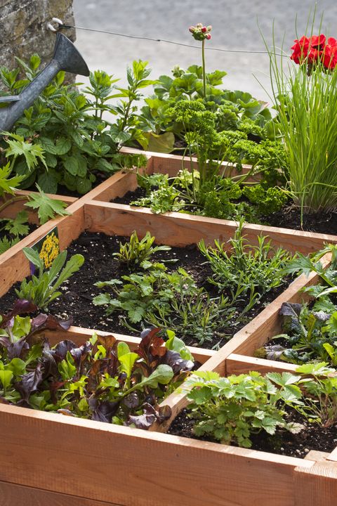 20 Free Garden Design Ideas And Plans Best Layouts - Free Garden Designs And Layouts