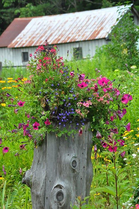 small stump planter small backyard ideas