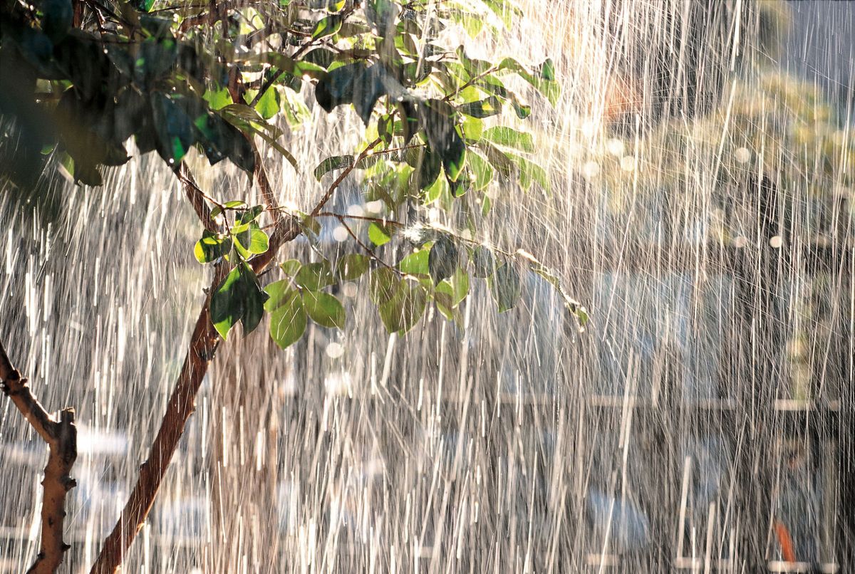 Spring Weather Prediction - Scientists Predict Rain