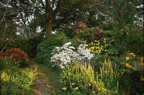 20 Free Garden Design Ideas And Plans Best Layouts