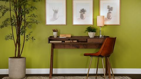 Green, Room, Interior design, Wall, Flowerpot, Furniture, Table, Floor, Interior design, Flooring, 