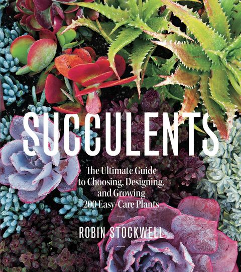 Succulents book cover
