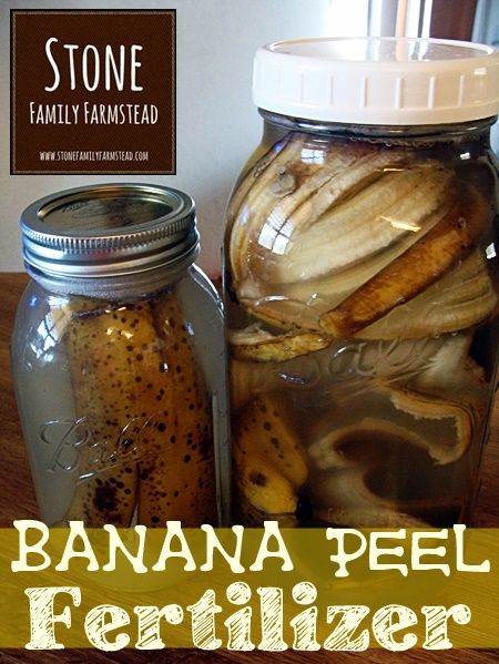 Food storage containers, Mason jar, Canning, Preserved food, Home accessories, Food storage, Pickling, Lid, Poster, 
