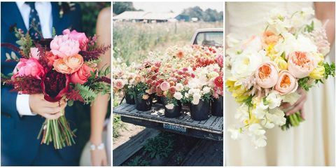 Flower, Flower Arranging, Floristry, Photograph, Bouquet, Floral design, Pink, Cut flowers, Garden roses, Plant, 