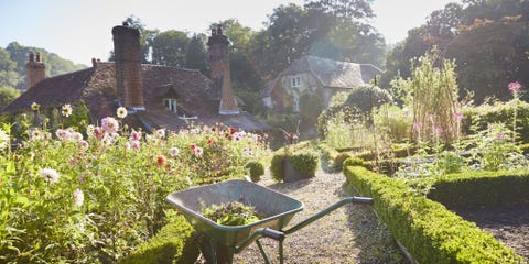 Gardening And Landscaping Mistakes Backyard Ideas Gardening And Landscaping Mistakes