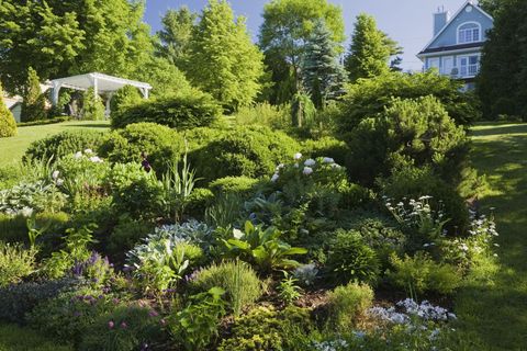 Garden, Vegetation, Tree, Shrub, Botanical garden, Plant, Yard, Botany, Lawn, House, 