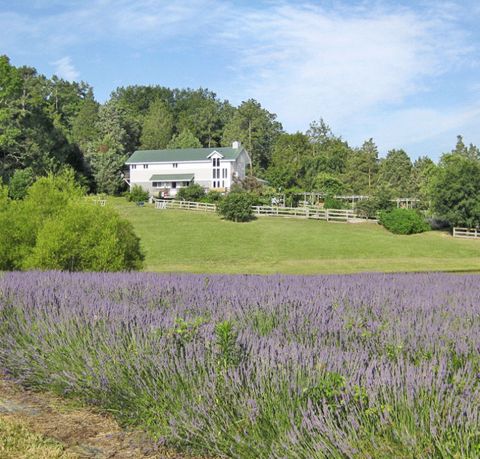 Plant, Purple, Tree, Lavender, Land lot, Agriculture, House, Shrub, Rural area, Garden, 