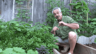 Why Are There So Many Home Renovation Shows People Really That S Why I Launched Ggtv As Part Of My Website Wherein Present Gardening Tips Believe
