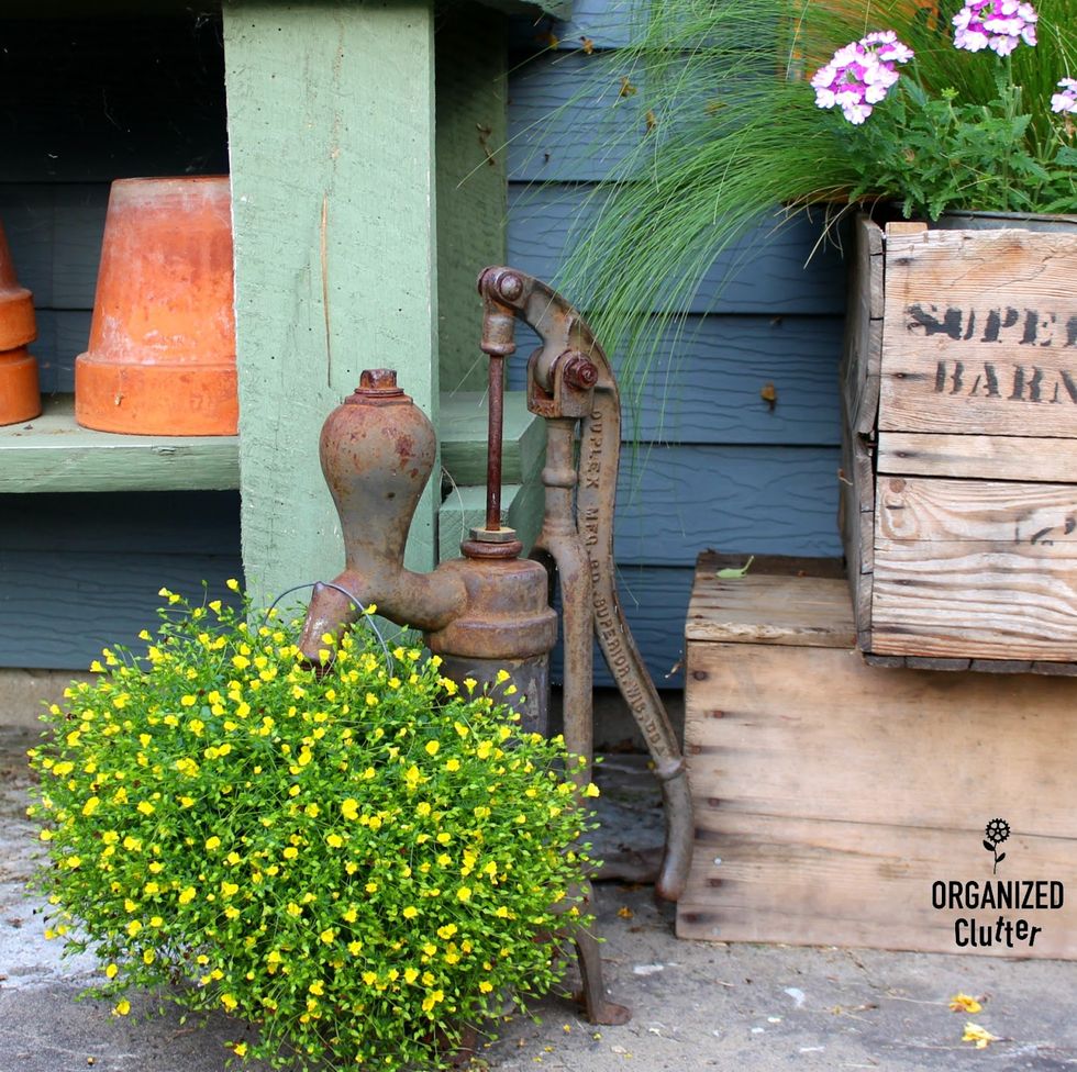 Old Coffee Pot Upcycled As A Flower Pot - Organized Clutter