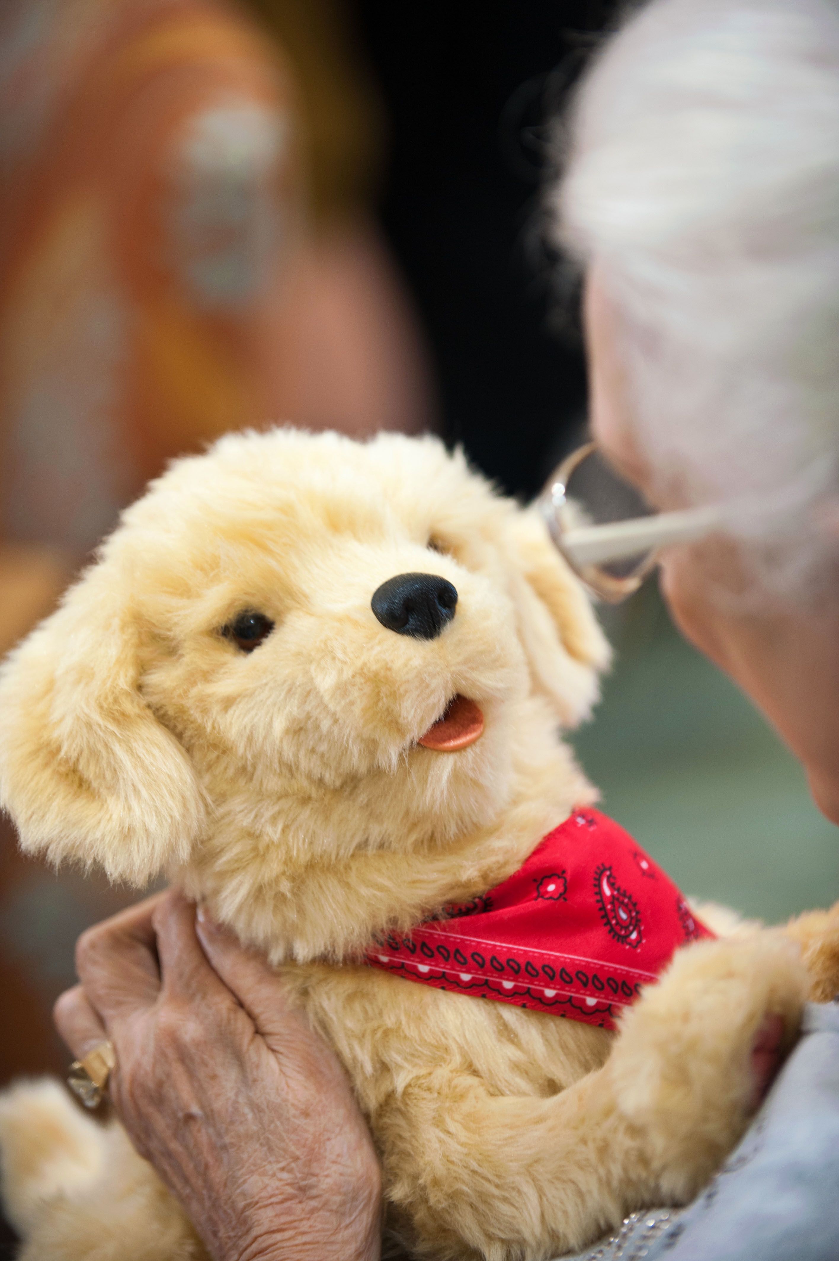 How Robotic Cats and Dogs Are Providing Comfort to Seniors With