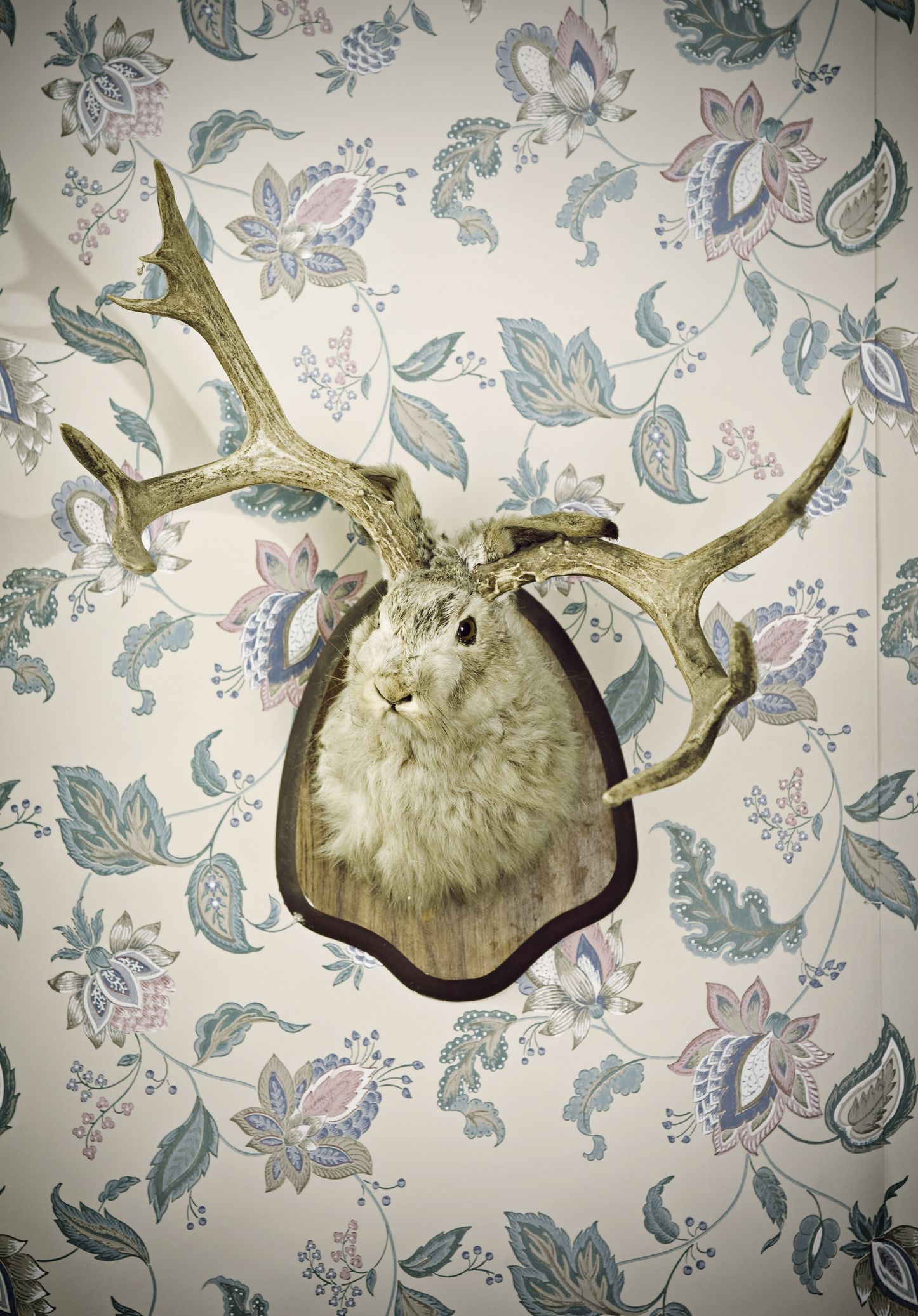 Featured image of post Faux Deer Head Decor Ideas - Wow, i love the deer head decor craze, but this one is by far my fav!