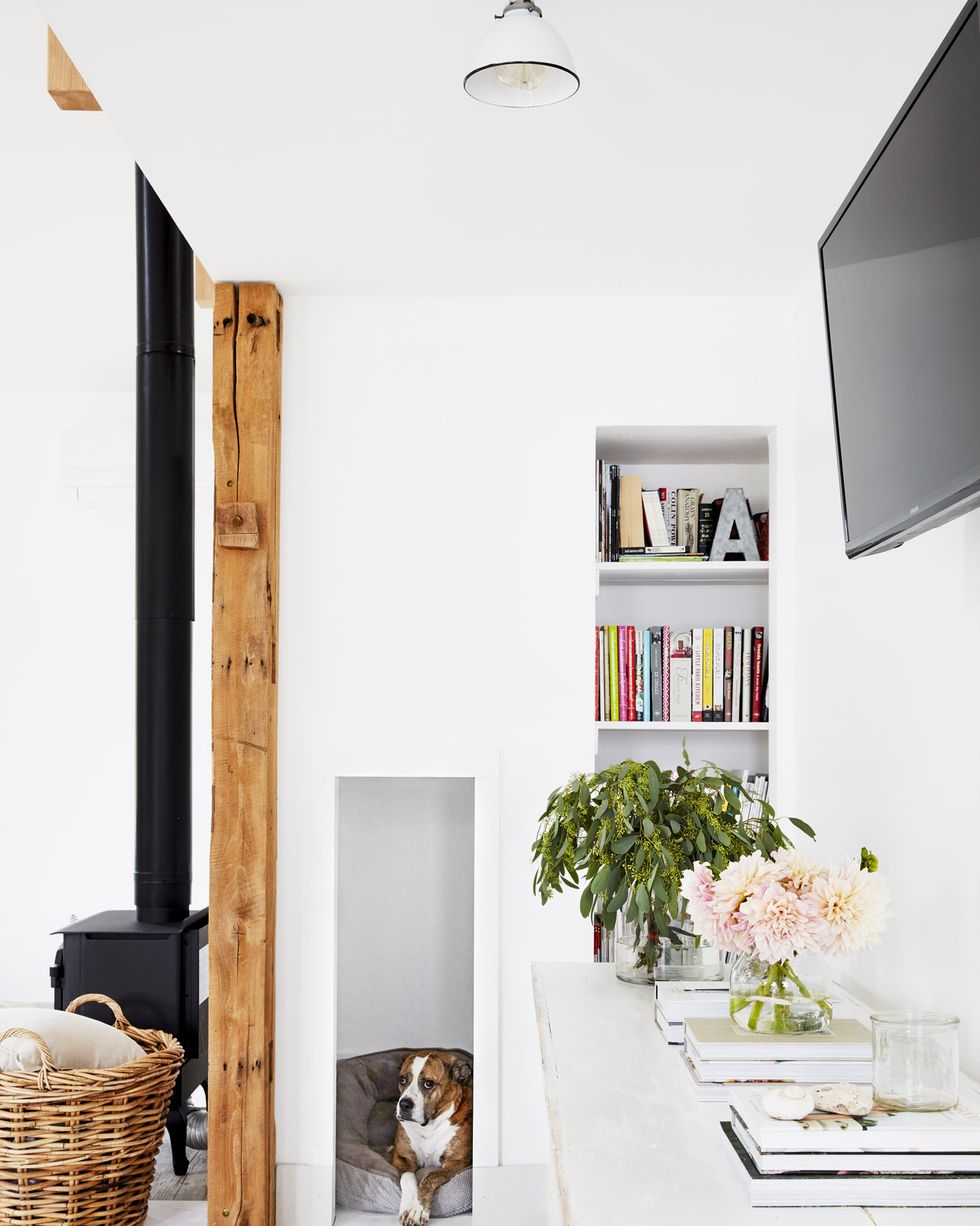 white room with filled bookshelves and a nook for the dog