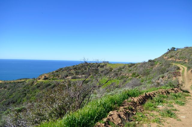 This Airstream on a Mountain in Malibu Has the Most Incredible Views ...