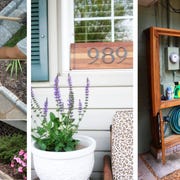 Lavender, Fixture, Garden, Flowerpot, House, Groundcover, Shelving, Lavender, Shrub, Shelf, Lavender, Fixture, Garden, Flowerpot, House, Groundcover, Shelving, Lavender, Shrub, Shelf,
