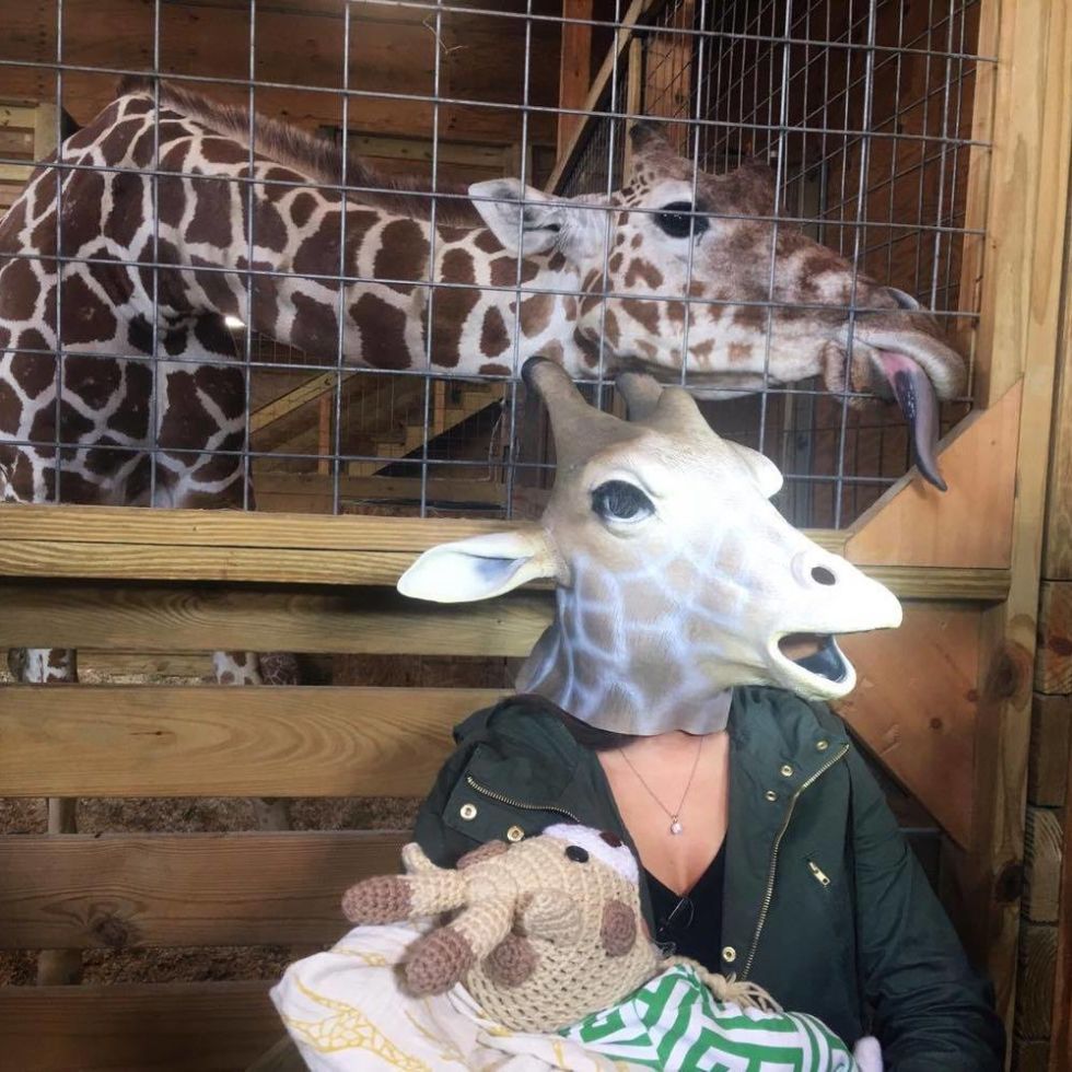 april the giraffe stuffed animal