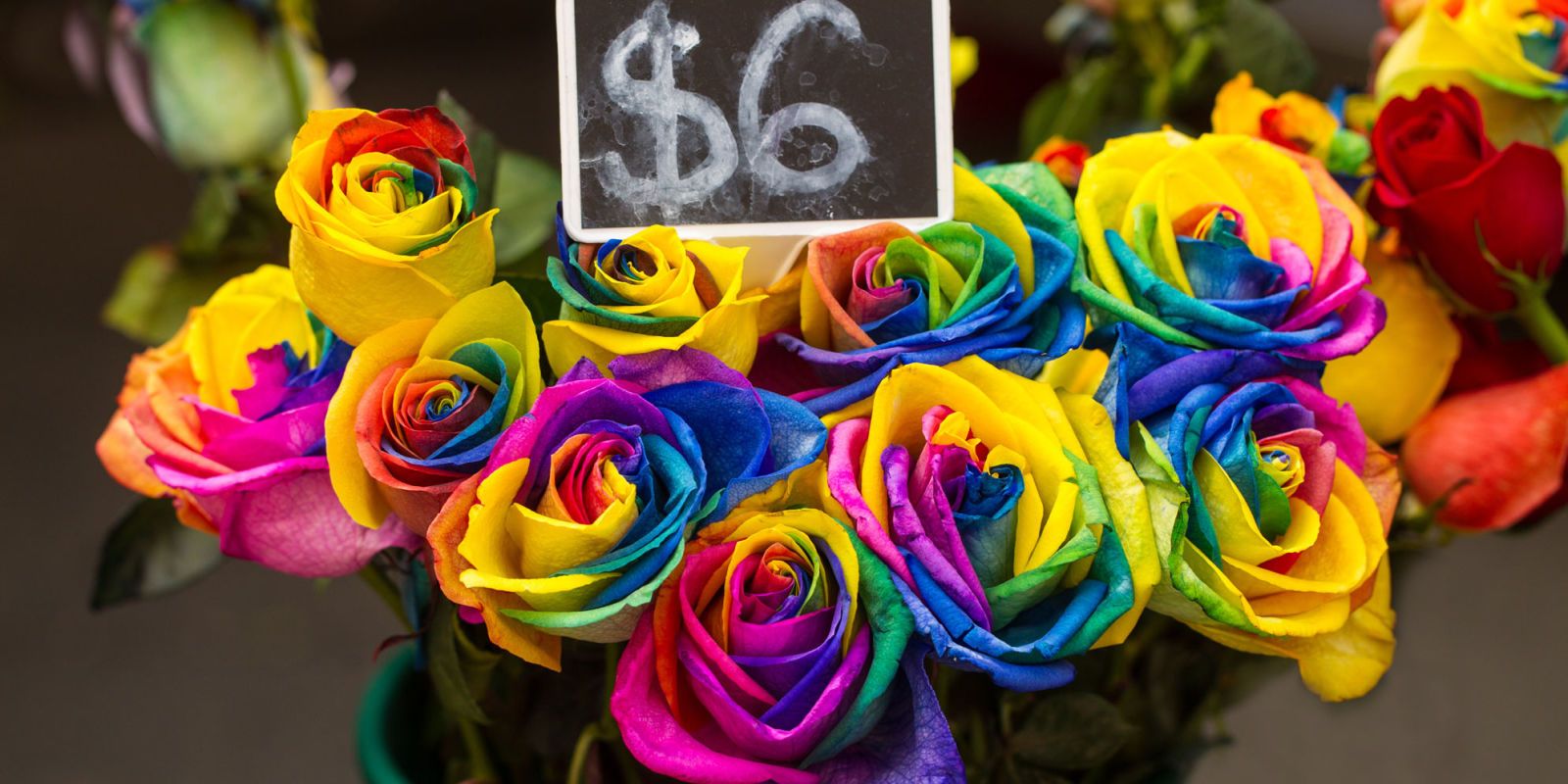 Unicorn roses clearance