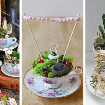 Teacup, Tableware, Flowerpot, Plant, Drinkware, Easter, Table, Cup, Cake decorating, Cake, 