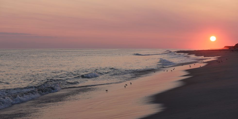 15 Best East Coast Beaches - Amazing Beaches to Visit on the East Coast