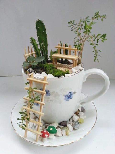 teacup fairy garden