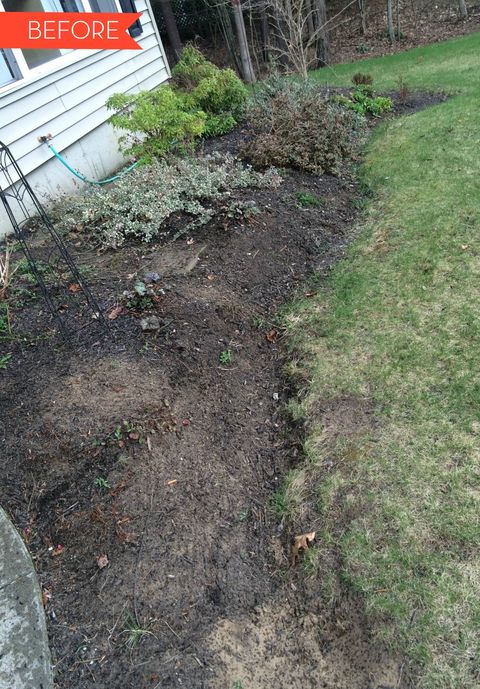 Soil, Grass, Lawn, Compost, Plant, Groundcover, Tree, Yard, Garden, Mulch, 