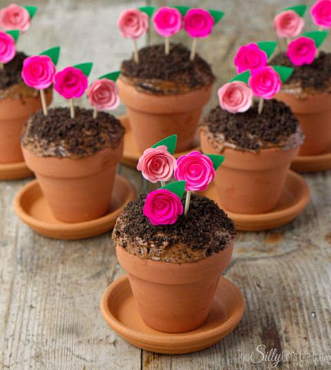 Flowerpot, Plant, Flower, Petal, Pink, Interior design, Houseplant, Annual plant, Peach, Herbaceous plant, 