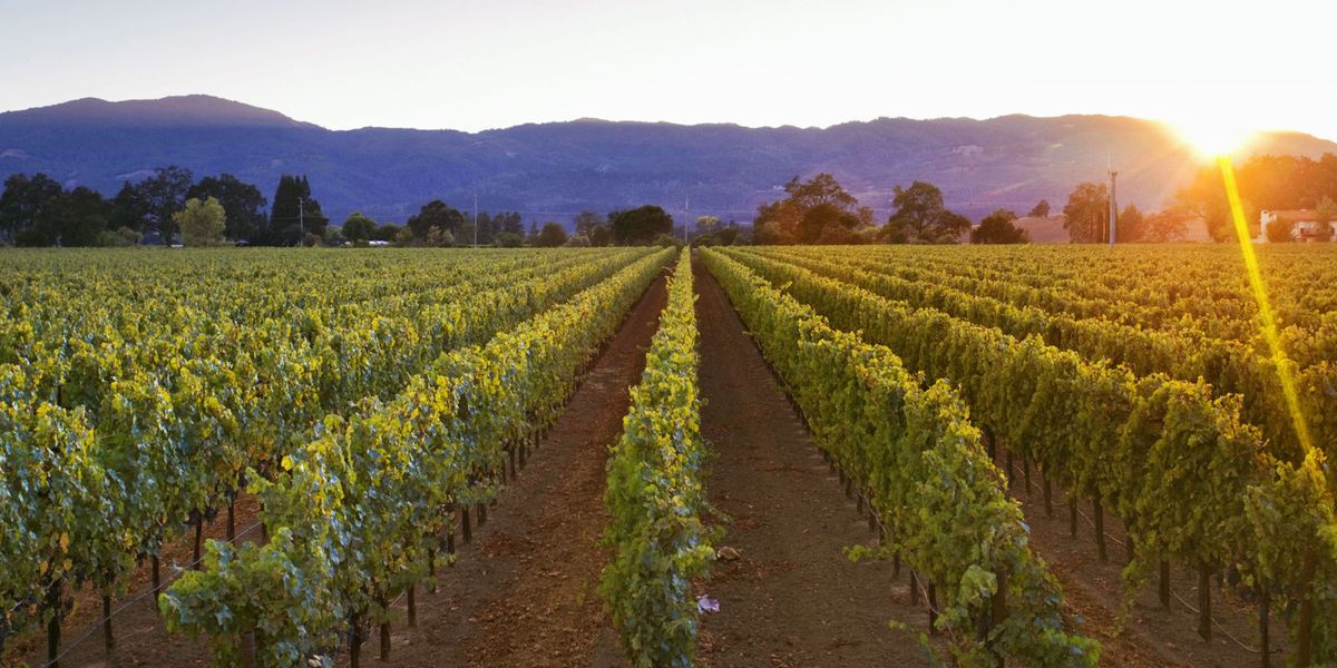 8 California Wine Country Vacation Ideas