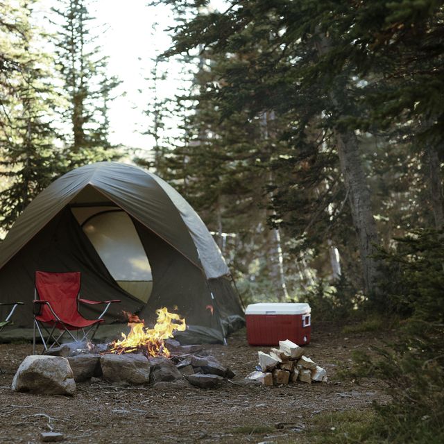 Camping, Tent, Natural environment, Wilderness, Leaf, Biome, Forest, State park, Woodland, Tree, 