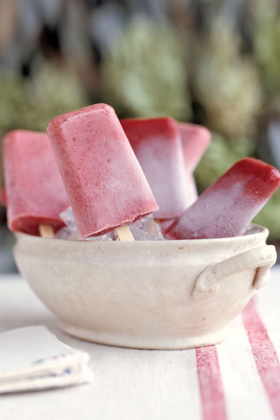 38 Homemade Popsicle Recipes - How to Make Easy Ice Pops