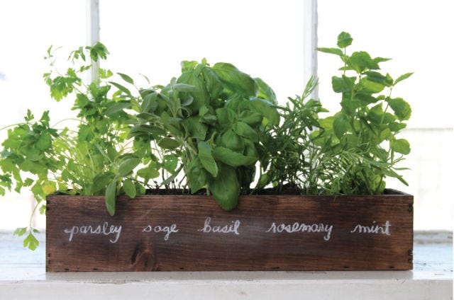 11 Indoor Flower Boxes That Will Convince You to Bring the Outdoors ... 11 Indoor Flower Boxes That Will Convince You to Bring the Outdoors ...