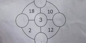 Can You Spot the Misdirected Plane In This Puzzle - Viral Plane Puzzle