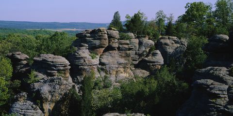 Rock, Natural landscape, Outcrop, Vegetation, Formation, Bedrock, Nature reserve, Escarpment, Geology, Tree, 