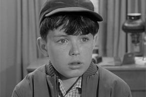 Image result for jerry mathers in 'leave it to beaver