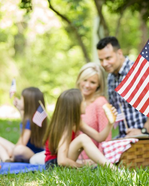 fourth of july picnic being enjoyed by a family