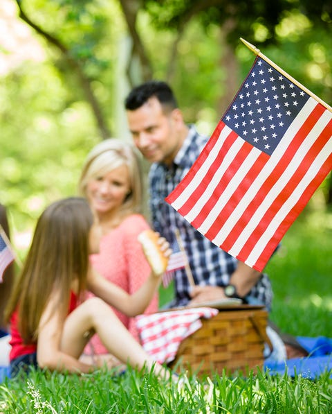 fourth of july picnic being enjoyed by a family