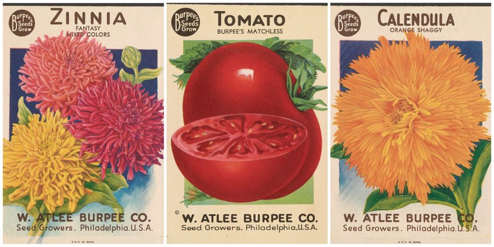 Antiques and collecting: Early 1900s seed packets came in handsome box