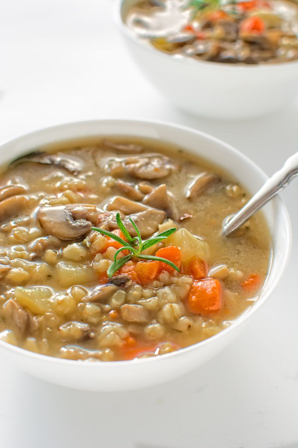 Chicken Wild Rice Soup - Culinary Hill