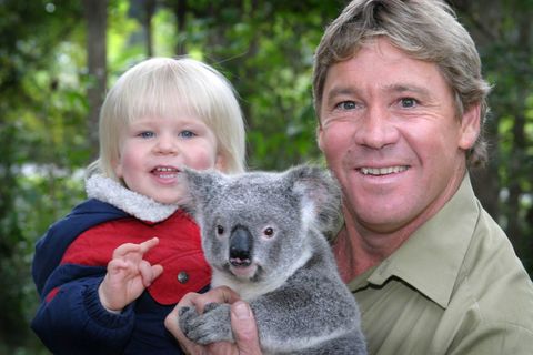 Robert Irwin's Heartwarming Love For Animals Is Just Like His Dad's ...