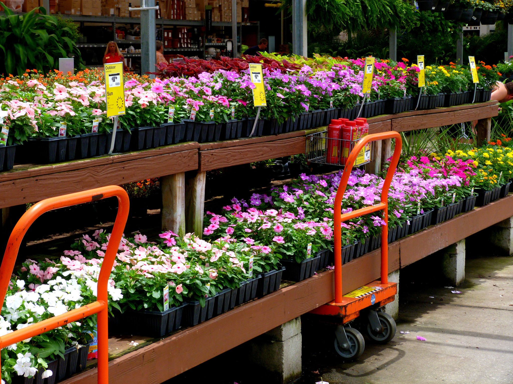 The Best The Home Depot Shopping Hack Revealed The Home Depot Plant Return Policy