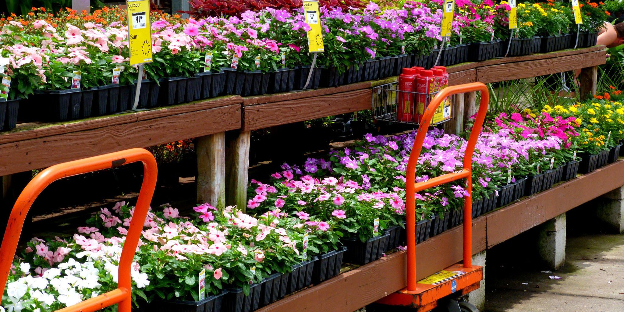 Plant blanket home discount depot