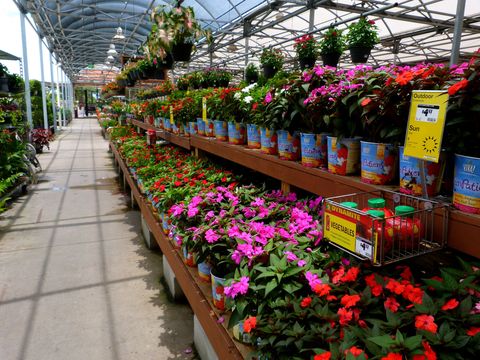 Home Depot Zahrada a květiny