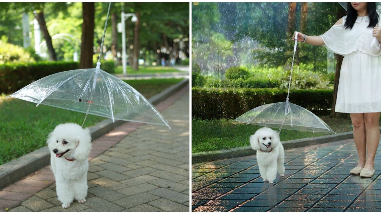 Upside down shop umbrella for dogs