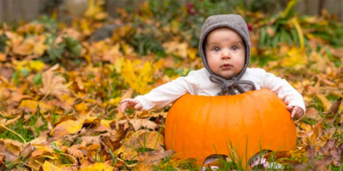 11 Baby in a Pumpkin Pictures - Cute Photos of Babies in Pumpkins