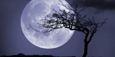 Full Moon Names and Meanings - Types of Full Moons