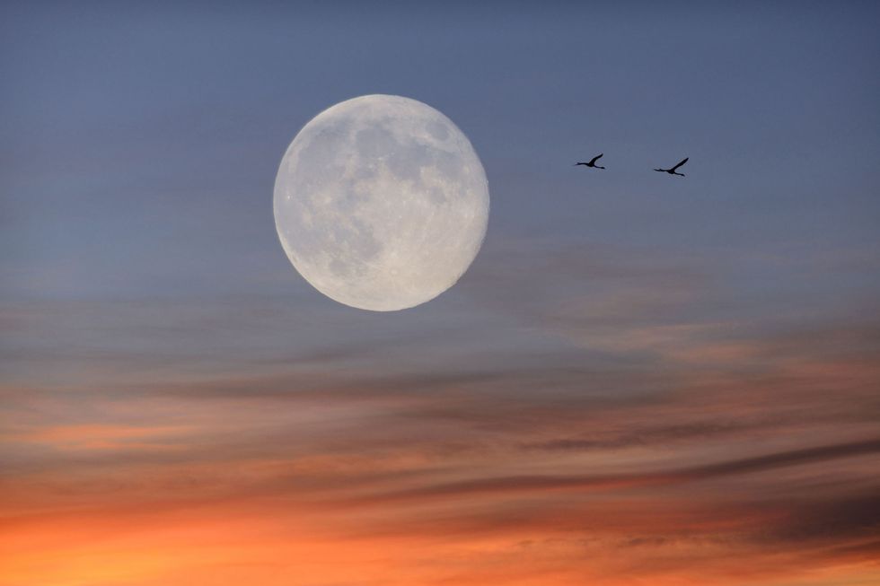 Sky, Moon, Daytime, Atmosphere, Cloud, Atmospheric phenomenon, Astronomical object, Celestial event, Full moon, Evening, 